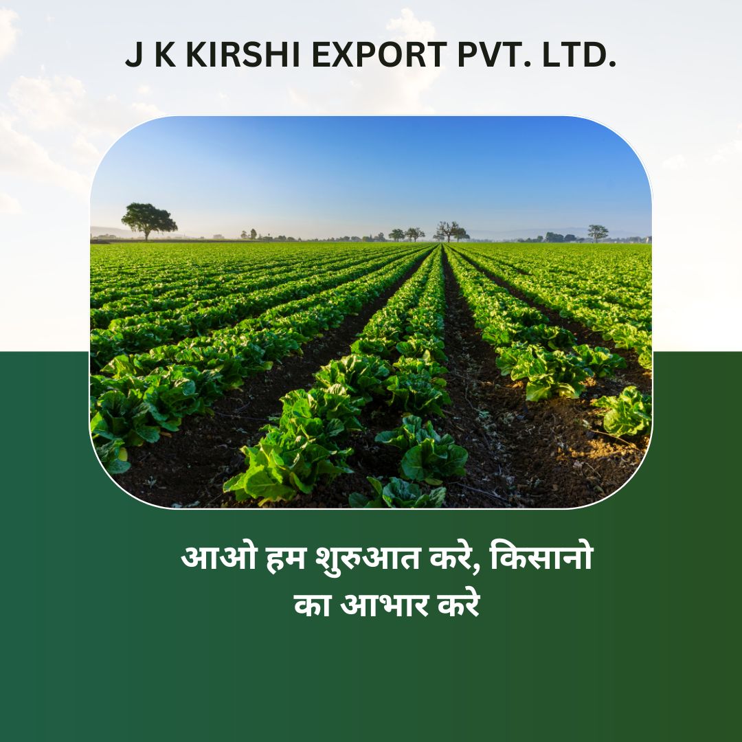 J K KIRSHI EXPORT PVT. LTD.