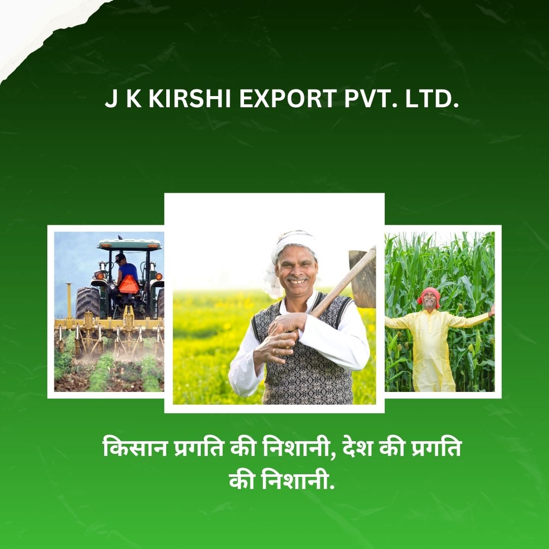 J K KIRSHI EXPORT PVT. LTD.