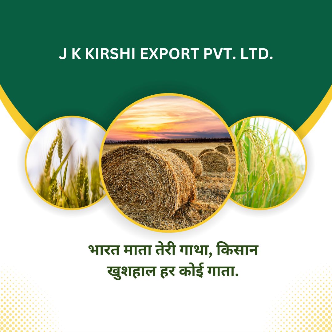 J K KIRSHI EXPORT PVT. LTD.