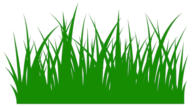 Garden Grass